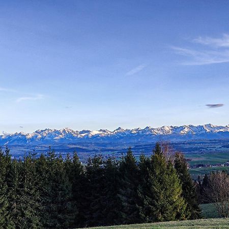 Domki Na Grapie - Z Widokiem Na Tatry Villa Pyzowka Exteriör bild